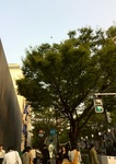 140412-3.jpg