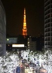 141126-1.jpg