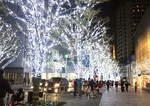 141126-5.jpg