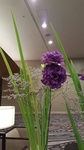 150602-2.jpg