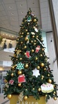 151223-3.jpg