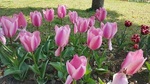 160401-1.jpg