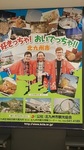 161009-1.jpg