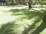 2011 0年11月 nemuro 042.jpg