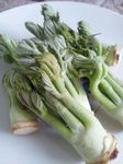20130409-1.jpg